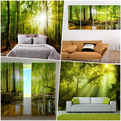 Wall Murals, curtains and paintings of forests 