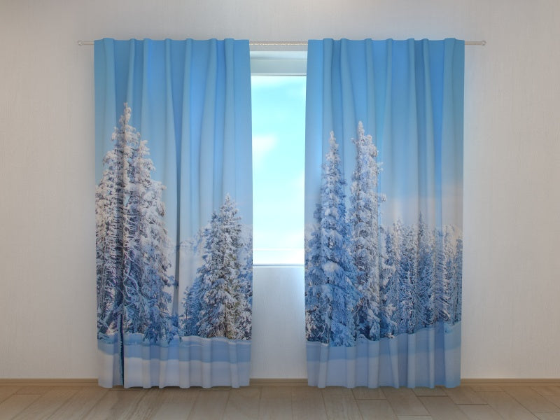 Curtains with winter