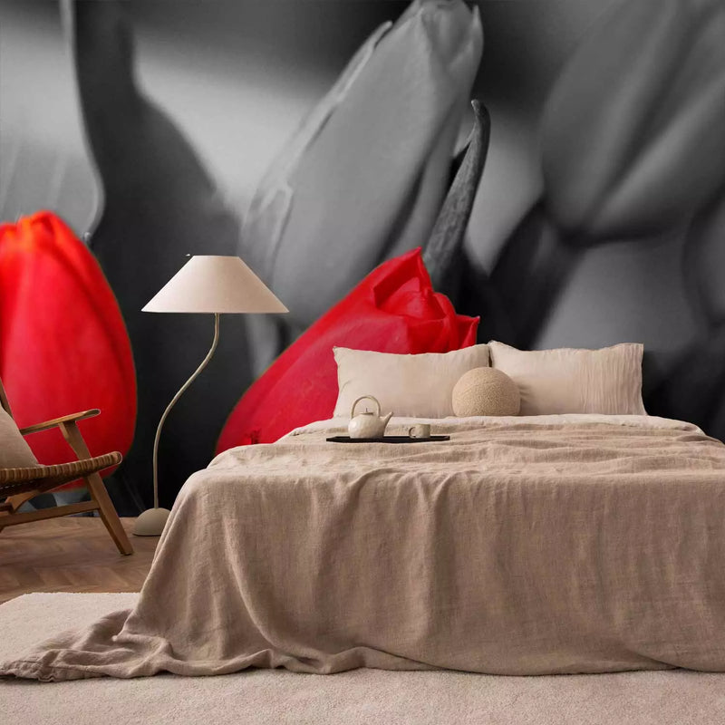 Wall Murals - red tulips on a black and white background, 60352