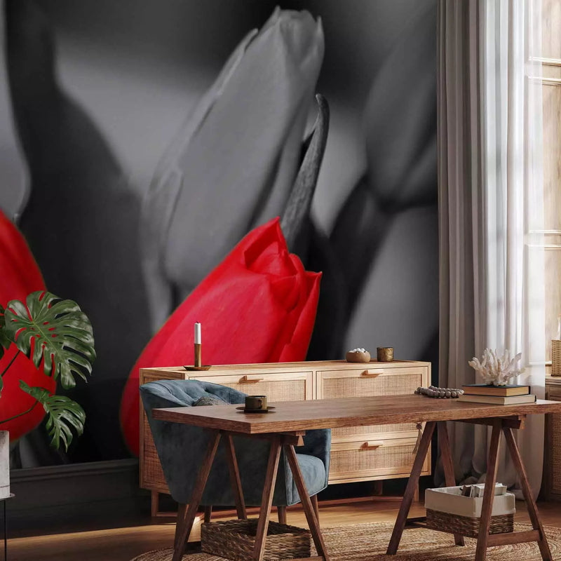 Wall Murals - red tulips on a black and white background, 60352