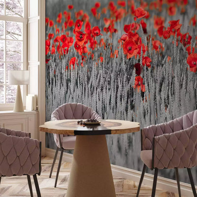 Wall Murals - Poppies on black and white background, 60400