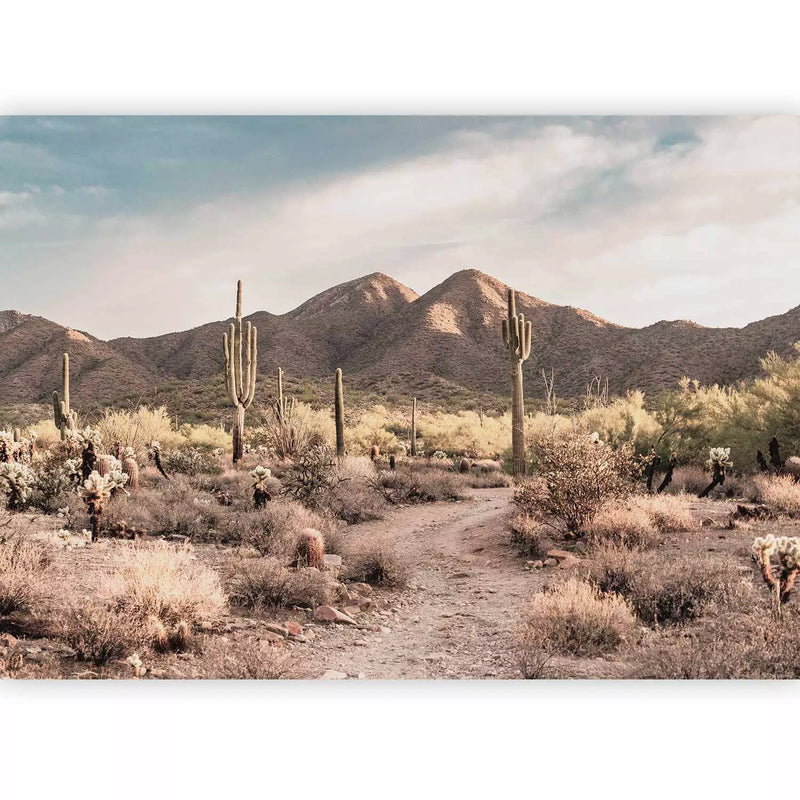 Wall Murals - Pink and gray accents creating a soft composition, 160014