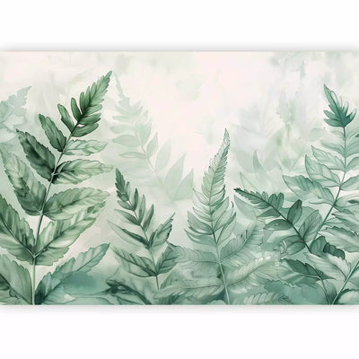 Wall Murals - Ferns in a misty forest, 161117