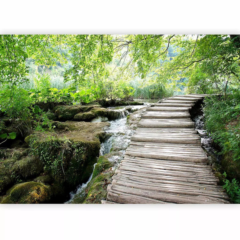 Cheap Premium PhotoParts with nature - forest road, 60506,300x210 cm G -art