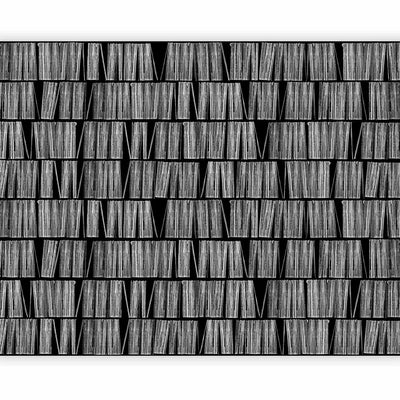 Wallpaper - bookshelf imitation - 3D illusion with black and white lines G-ART