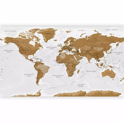 Cheap large Wall Murals - Brown illustration of continents on white background of oceans G-ART