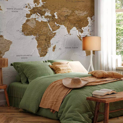 Cheap large Wall Murals - Brown illustration of continents on white background of oceans G-ART