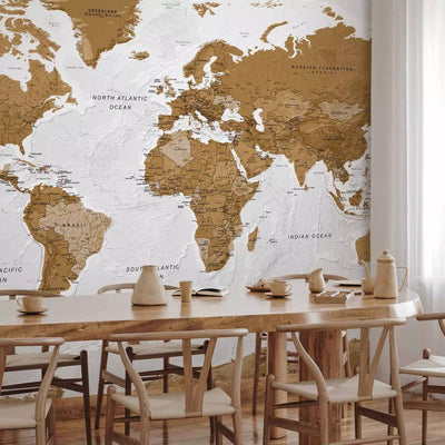 Cheap large Wall Murals - Brown illustration of continents on white background of oceans G-ART