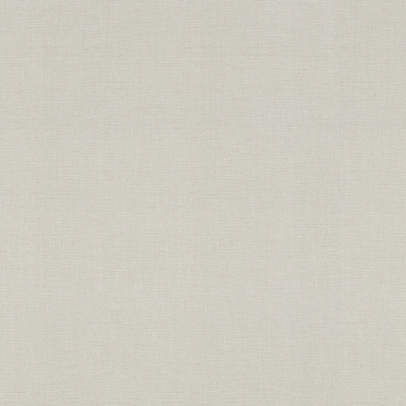 Wallpaper RASCH in light gray color, 2015610