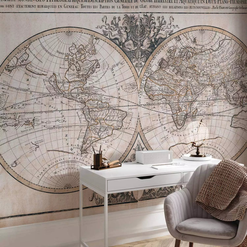 Wall Murals 93965 Hydrographic World Map