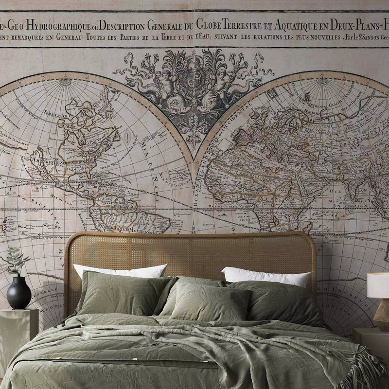 Wall Murals 93965 Hydrographic World Map