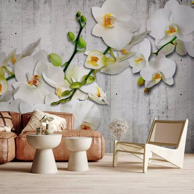 Wall Murals - White orchids with an orange accent, 97306