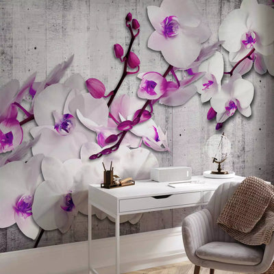 Wall Murals - White orchids with a purple accent, 97317