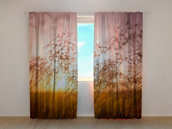 Curtains with nature - Summer sunset over the grass Tapetenshop.lv