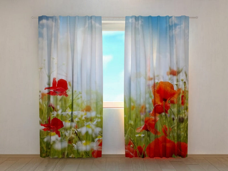 Day and night curtains with nature - red poppies and blue sky on Tapetenshop.lv