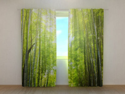 Day and night curtains with green nature - bamboo forest at sunset on walletenshop.lv