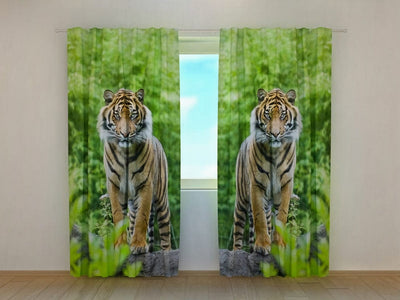 Day and night curtains for bedroom - two tigers in a lush green environment on Tapetenshop.lv