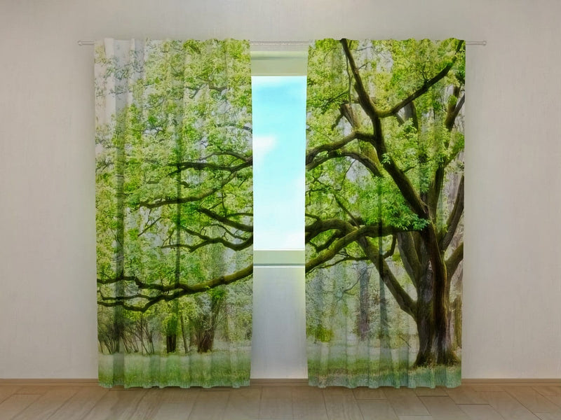 Daily curtains for bedroom and living room with nature - green tree walletenshop.lv