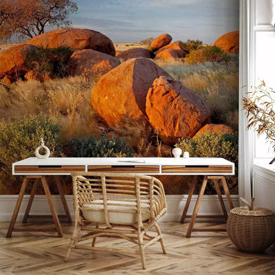 Wall Murals - African landscape in Namibia - savannah nature with rocks G-ART