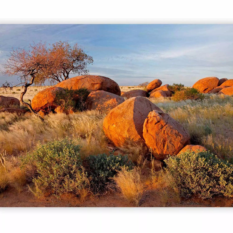 Fototapetai - Afrikos peizažas Namibijoje - savanos gamta su akmenimis G-ART