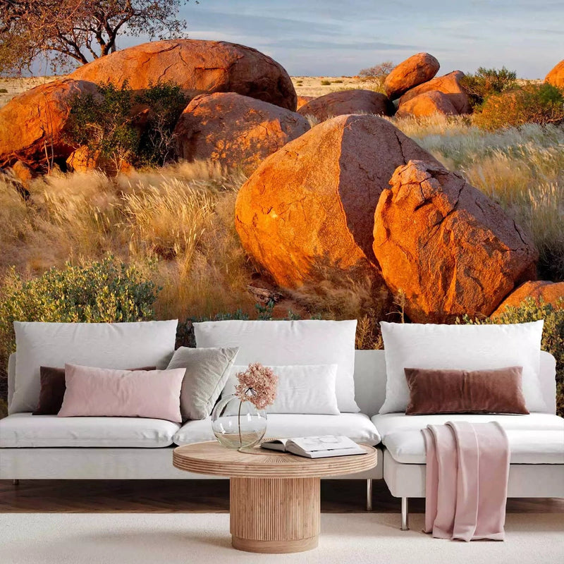 Wall Murals - African landscape in Namibia - savannah nature with rocks G-ART