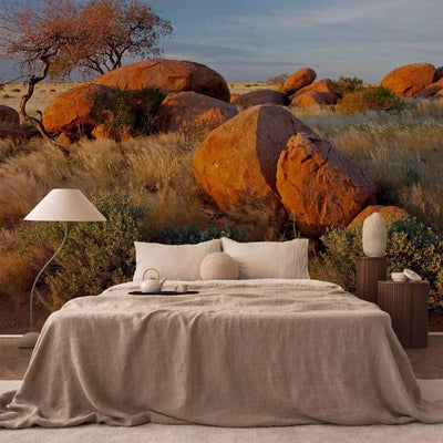 Wall Murals - African landscape in Namibia - savannah nature with rocks G-ART