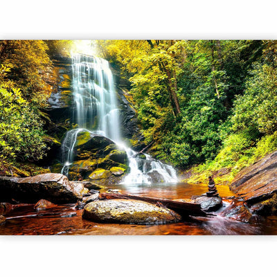 Фотообои - Ландшафт с водопадом, текущим по скалам в центре леса, 60062 G-арт