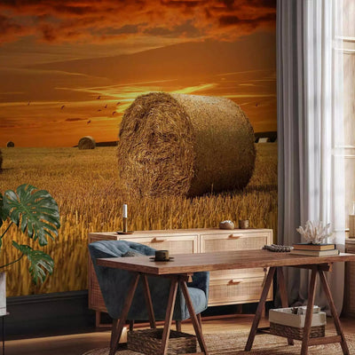 Wall Murals - Golden Fields - village landscape at sunset G-ART