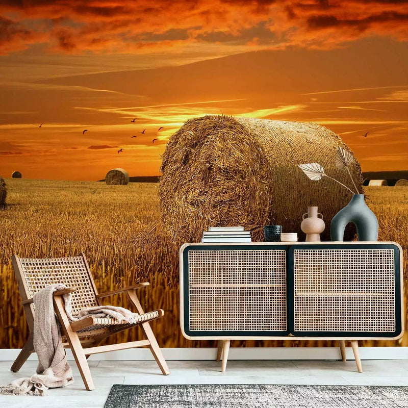 Wall Murals - Golden Fields - village landscape at sunset G-ART