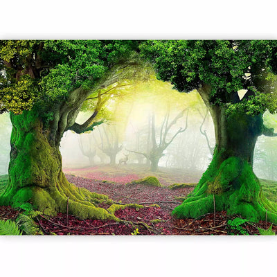 Wall Murals for the children's room with a fairy tale pattern - Enchanted forest, 59770G-ART