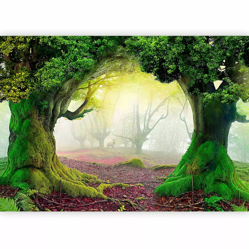 Wall Murals for the children&