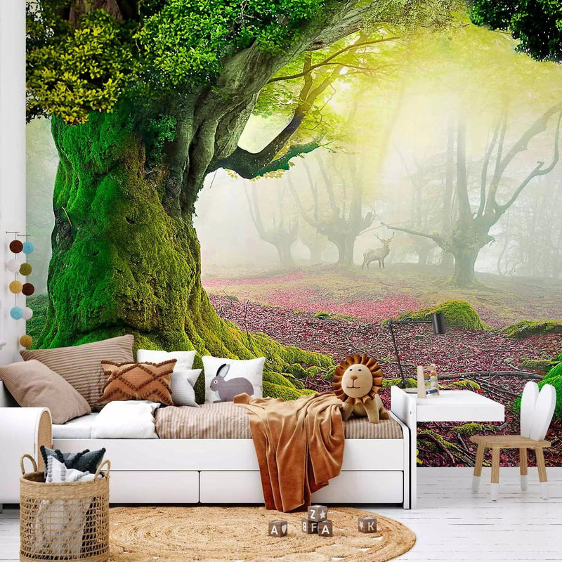 Wall Murals for the children&