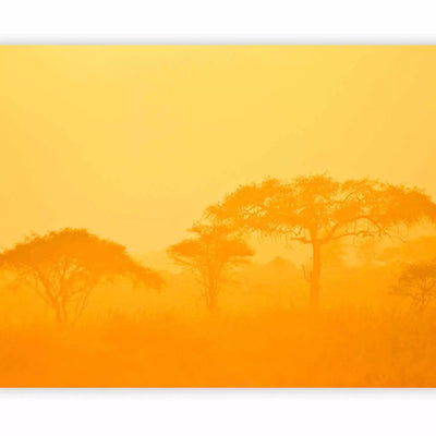 Wall Murals with African savannah in orange tones, 61399 - size selection G-ART