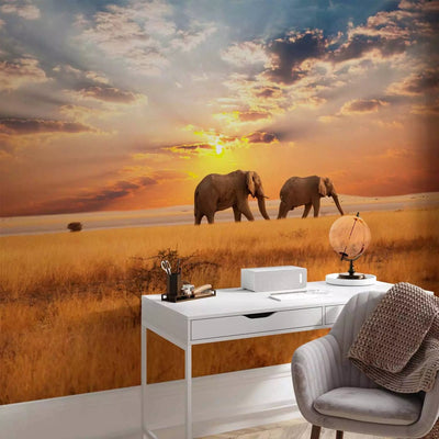 Wall Murals with African elephants in the vastness of the savannah - buy G-ART