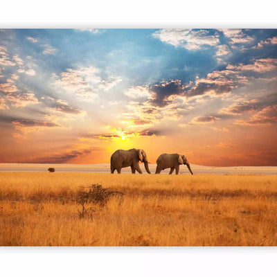 Wall Murals with African elephants in the vastness of the savannah - buy G-ART