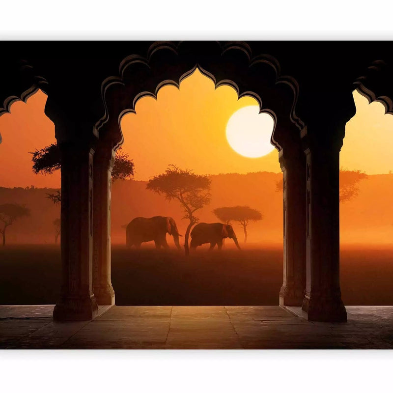 Wall Murals with African nature - Enjoy Africa, on order G-ART