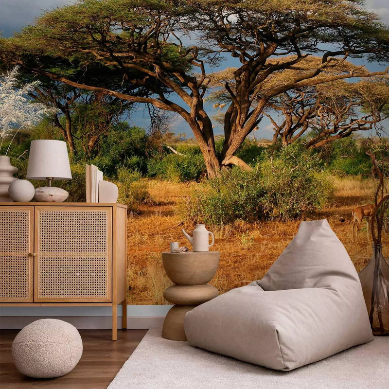 Wall Murals with African nature - Samburu National Reserve - 61397 G-ART