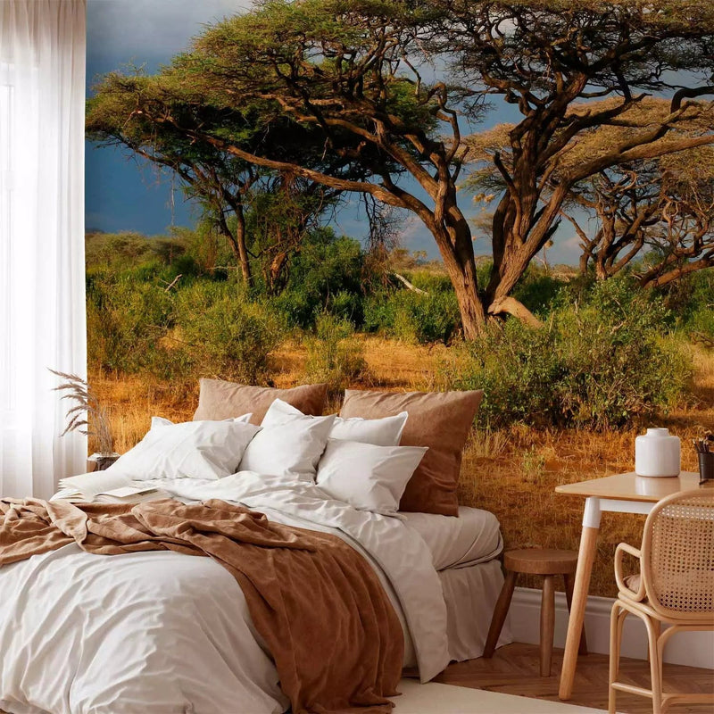 Wall Murals with African nature - Samburu National Reserve - 61397 G-ART