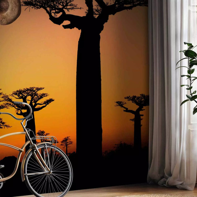 Wall Murals with African baobabs and sunset - material selection G-ART