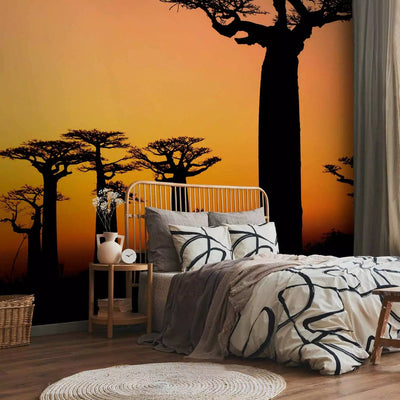 Wall Murals with African baobabs and sunset - material selection G-ART