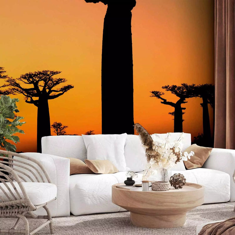 Wall Murals with African baobabs and sunset - material selection G-ART