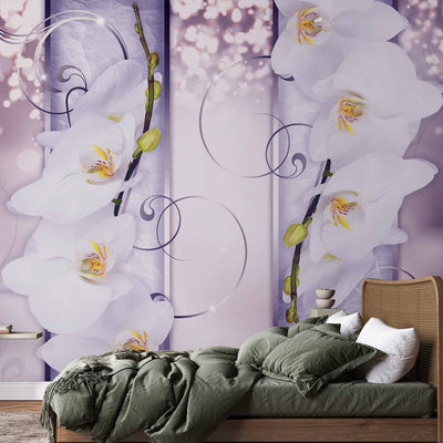 Wall Murals with white orchids - charm, 60175 g -art