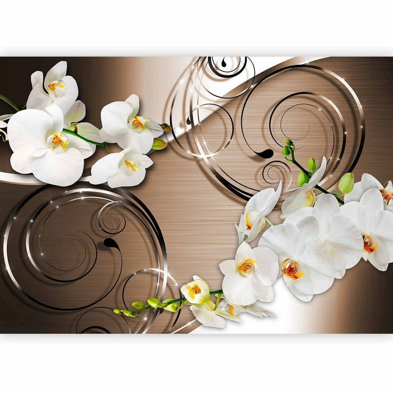 Fototapetai su baltomis orchidėjomis rudame fone - pasitikėjimas, 59712 g -