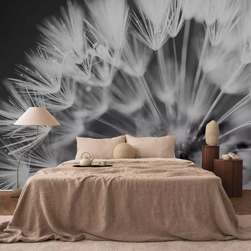 Wall Murals with white dandelions on a black background - morning kiss - 90402g -art