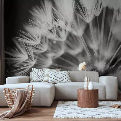 Wall Murals with white dandelions on a black background - morning kiss - 90402g -art