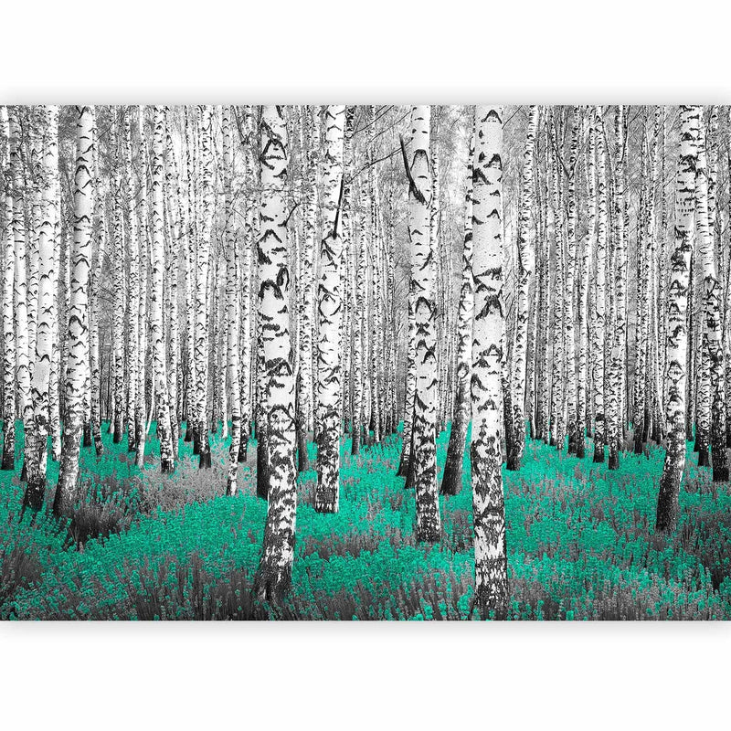 Фотообои с березами - абстрактный лесной пейзаж с березами и бирюзовым акцентом, 60518 G-ART