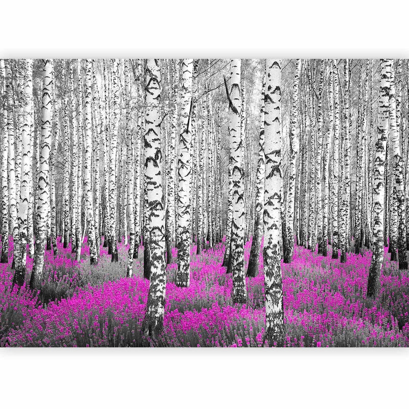 Фотообои с березами - Абстрактный лесной пейзаж - Рубиновое убежище, 60519 G-ART