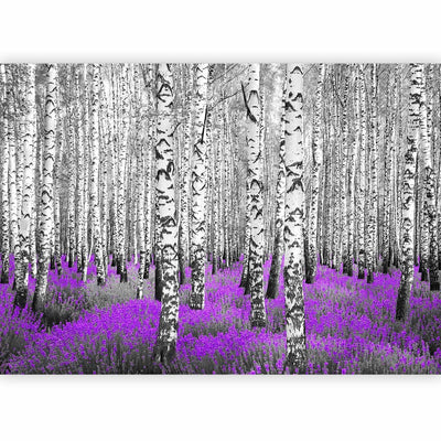 Wall Murals with birch - abstract forest landscape - purple forest - 60531 G -art