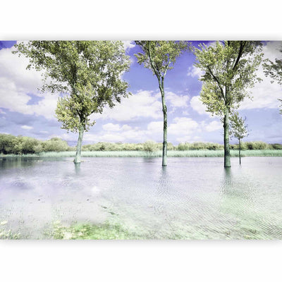 Fototapetes ar dabas skatu - Ainava ar kokiem pie ezera un zilām debesīm, 60447 G-ART