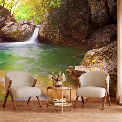 Wall Murals with a stream and a waterfall in a mysterious forest, 60007 G-ART